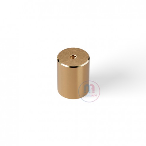 20x25 mm M6x5 mm Brass Pot Magnet