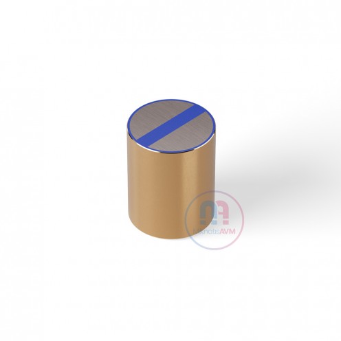 20x25 mm M6x5 mm Brass Pot Magnet